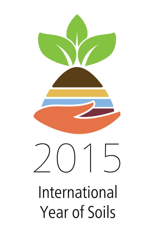 International year of soils