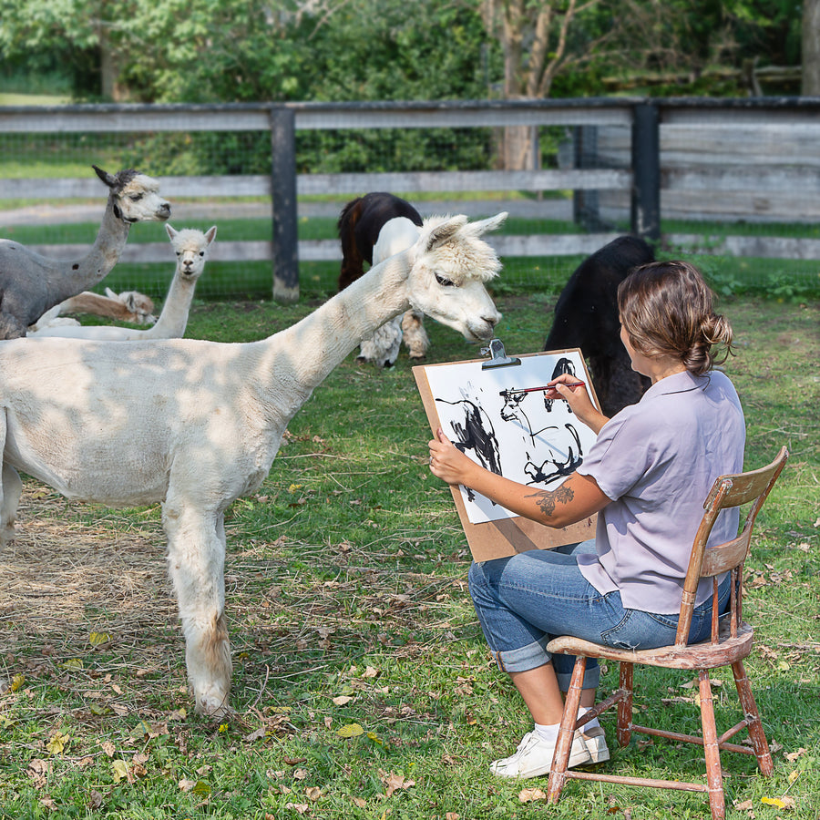 Mini-Workshop - Sketching Alpacas - “In the Moment” sketching with Megan Fitzgerald