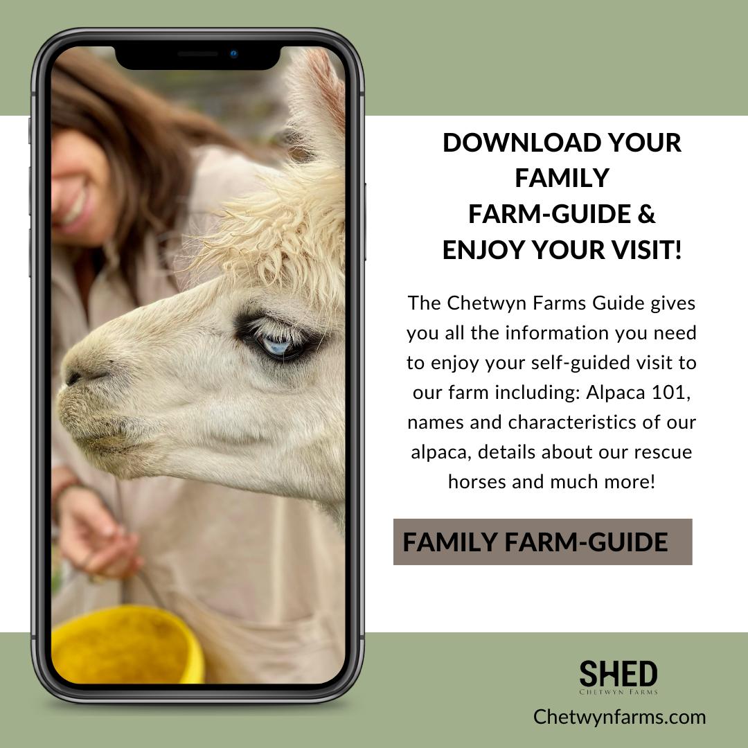 Farm Guide Family Fun SHED Chetwyn Farms