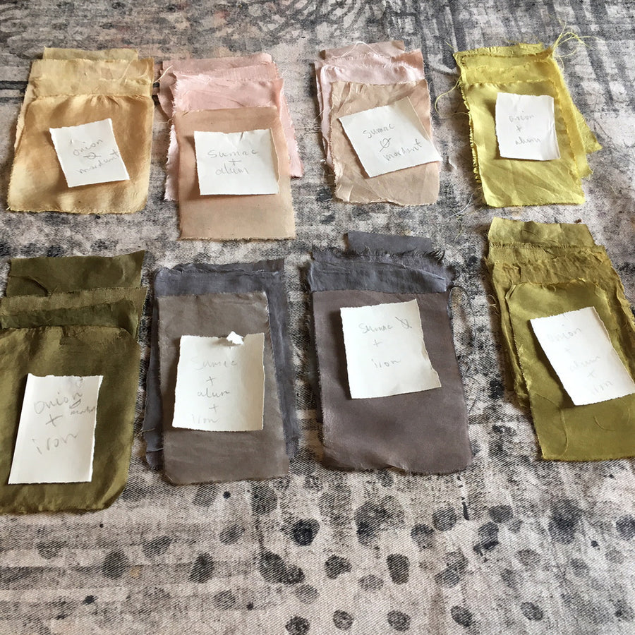 Workshop - Natural Dying 101 & Botanical Dying - with Tania Love