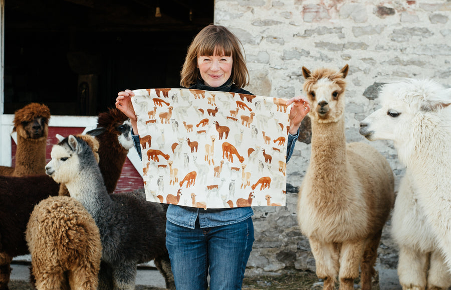 Tea Towel - the Alpaca Herd at Chetwyn Farms