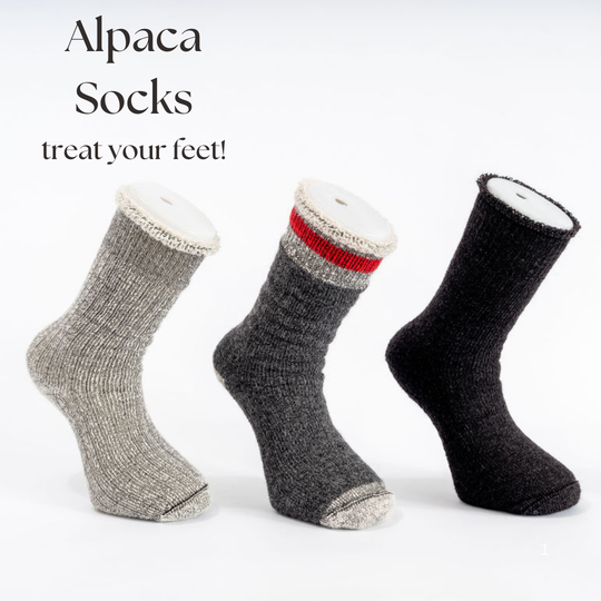 Alpaca Socks - 7 Top Reasons to Wear Alpaca Socks