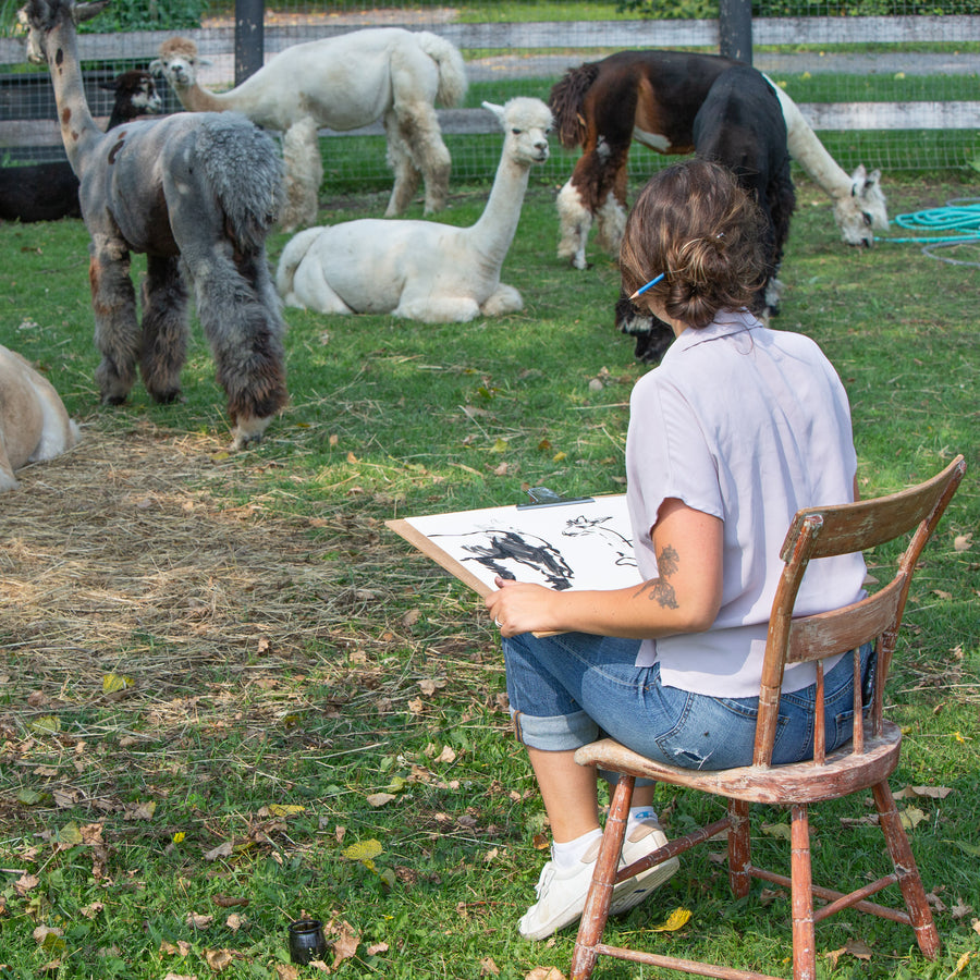Workshop - Sketching Alpacas - “In the Moment” sketching with Megan Fitzgerald