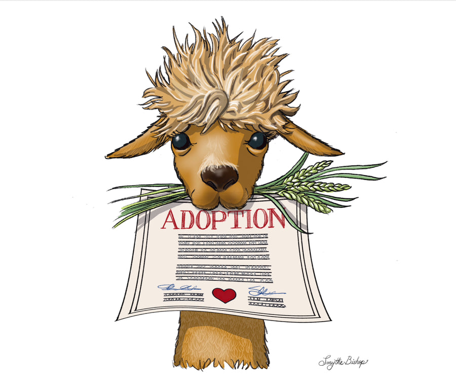 Alpaca Adoption  - Part Ownership of an Alpaca