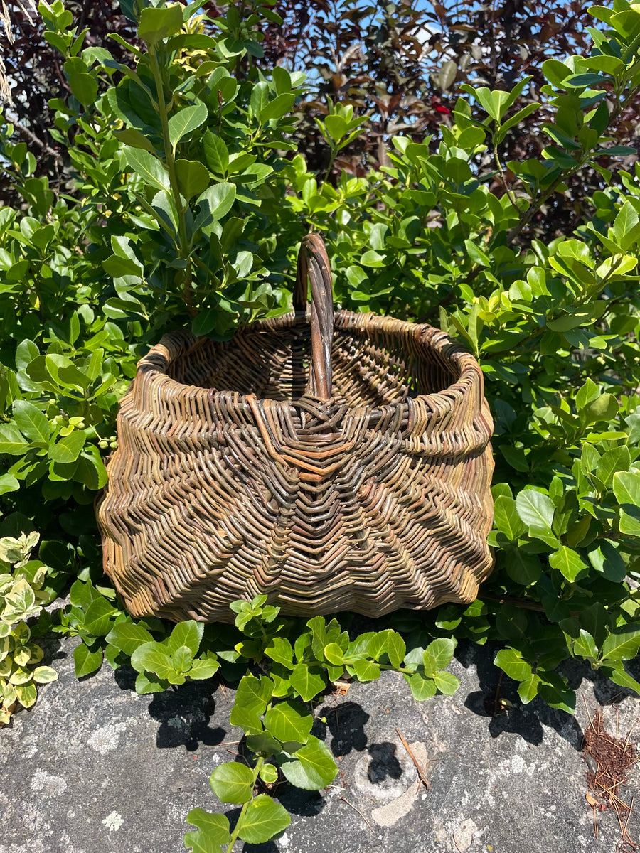 Members VIP Event: Basketry & Beyond - Weaving with Jessica York