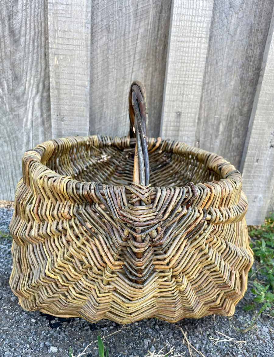 Members VIP Event: Basketry & Beyond - Weaving with Jessica York