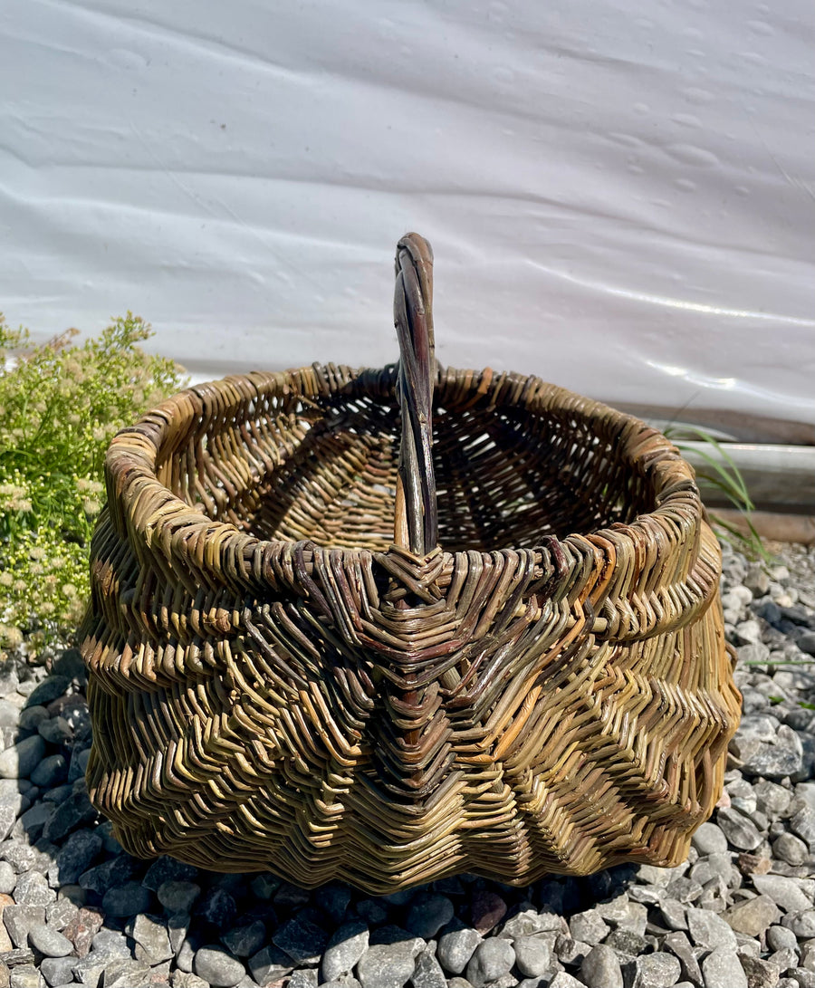 Members VIP Event: Basketry & Beyond - Weaving with Jessica York