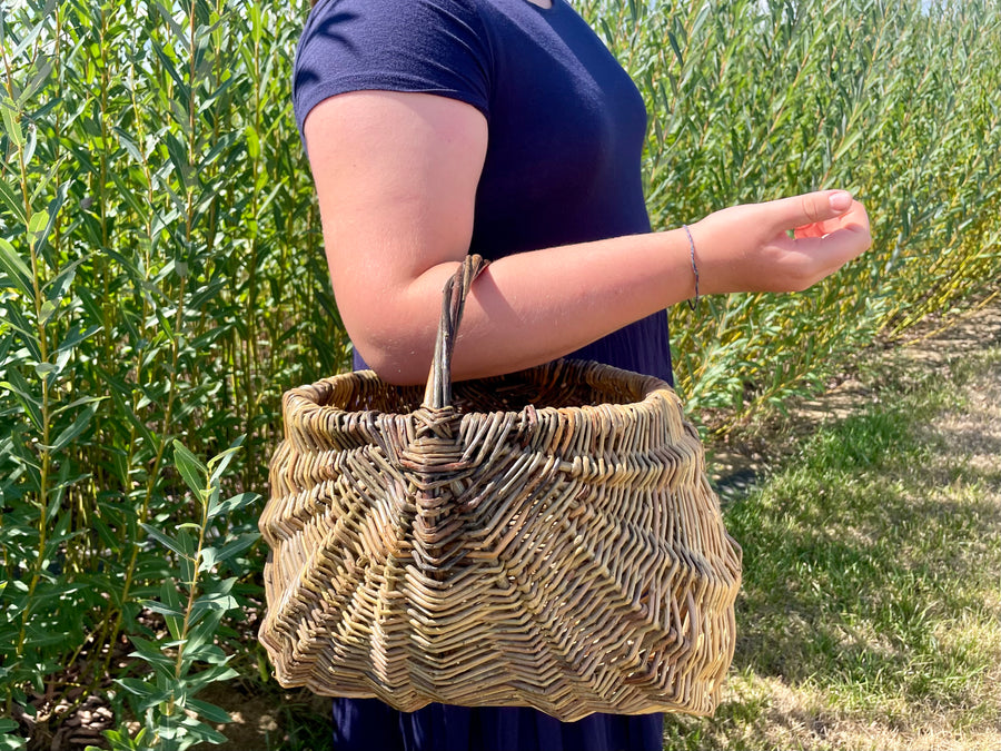 Members VIP Event: Basketry & Beyond - Weaving with Jessica York