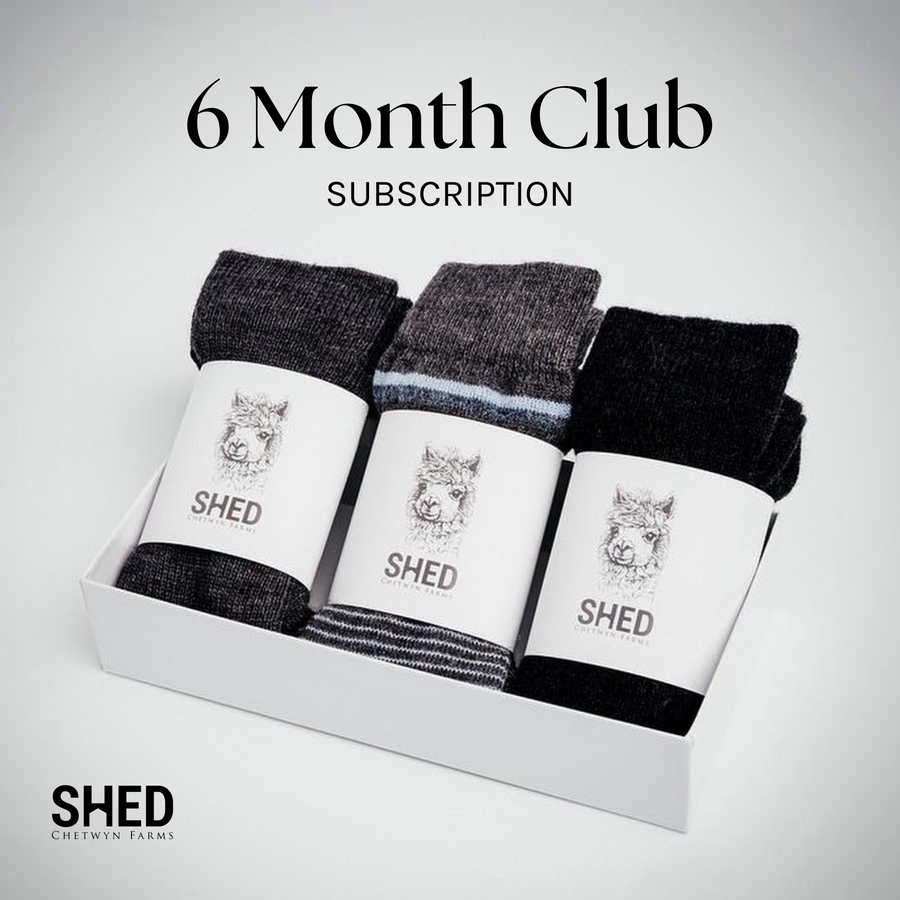 Sock of the Month Club SHED Chetwyn Farms