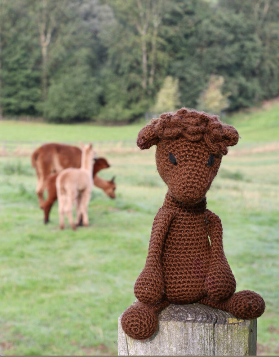 Alpaca Crochet Kit - “Seamus” the Alpaca