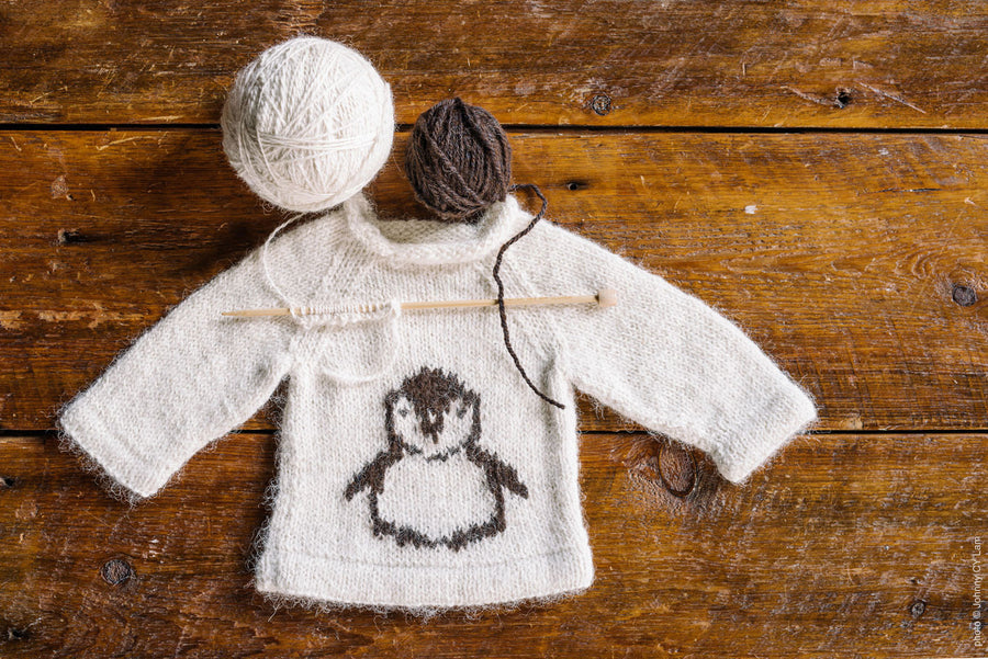 Sweater  - Children's Penguin - SHED Chetwyn Farms